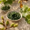 Plein les Yeux — contour des yeux Oxalia et ses ingrédients naturels — Coeuroline, institut à La Seyne-sur-Mer