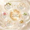 creme-jeunesse-bluffante-oxalia-zoom-science-1
