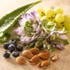 Crème Tentation Fondante Oxalia et ses ingrédients naturels — Coeuroline, institut à La Seyne-sur-Mer